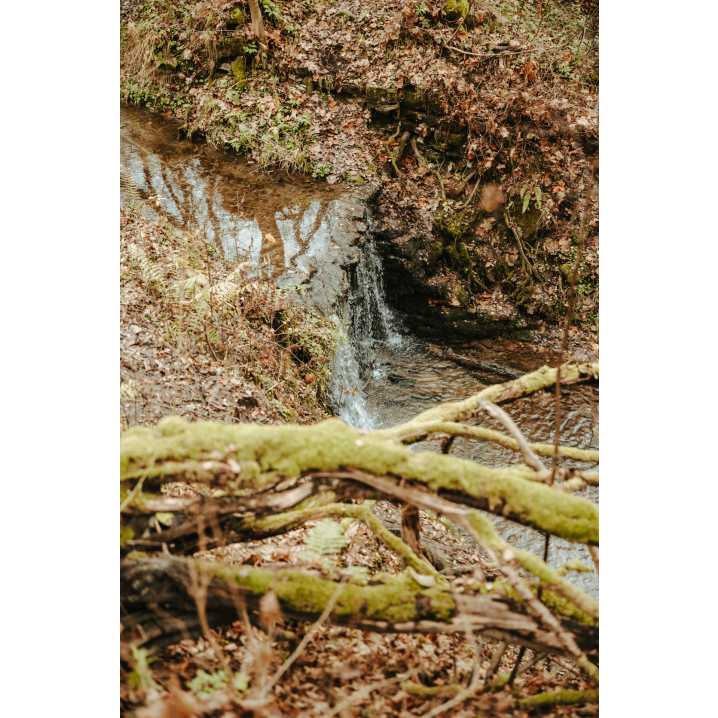 A small waterfall in the forest against the background of brown leaves