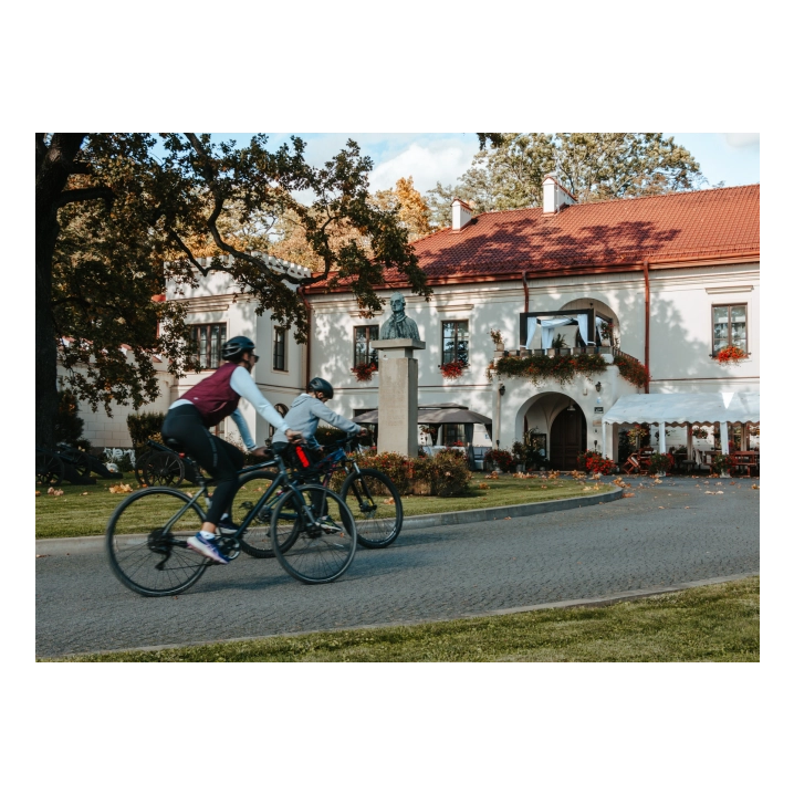Zamek Dubiecko – Restauracja