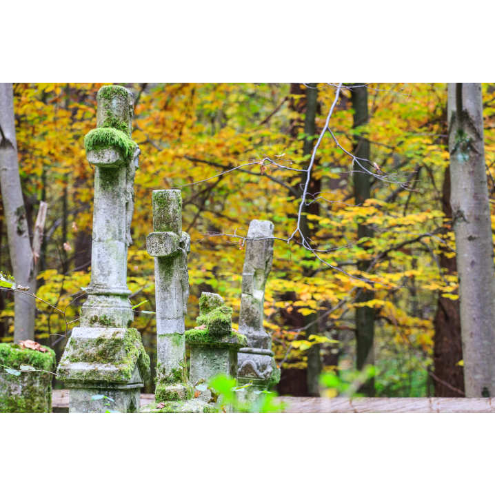 Kamienne krzyże cmentarne porośnięte mchem w lesie z jesiennymi liśćmi