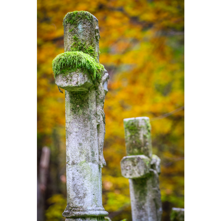 Cemetery stone crosses overgrown with moss in the forest with autumn leaves