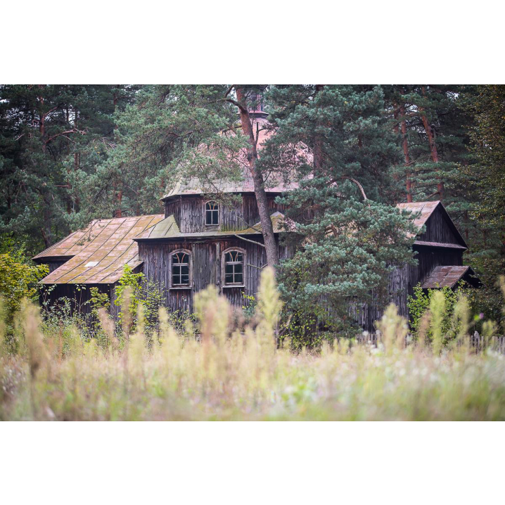 An old, dilapidated, wooden church among tall grasses and trees