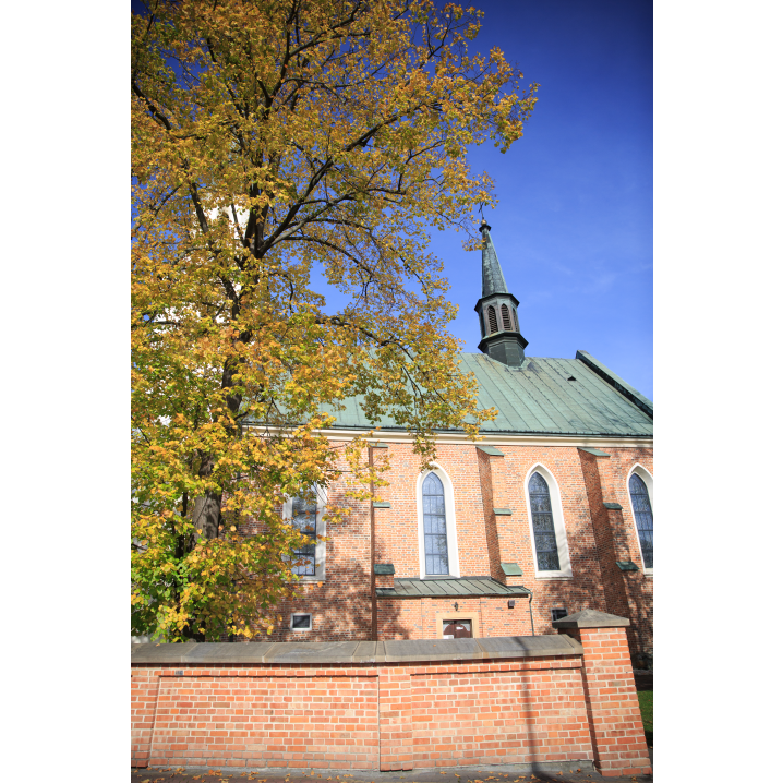 Kościół pw. Przemienienia Pańskiego w Ropczycach