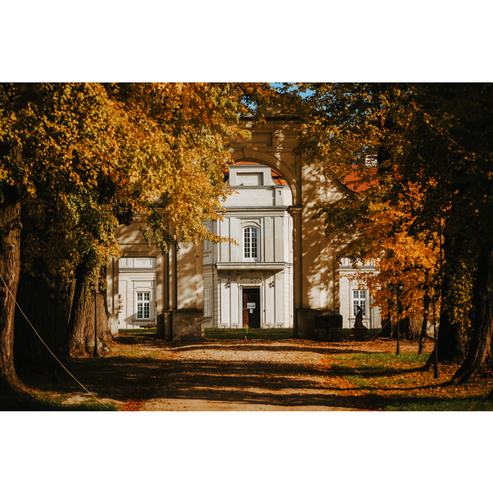 Forest path among autumn trees leading to the entrance to the palace