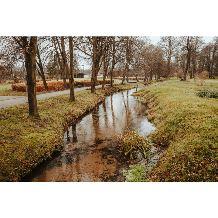 A river flowing in a park among asphalt alleys and trees