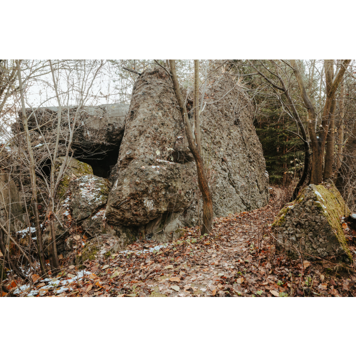 A fragment of a destroyed concrete bunker integrated into a rock in the forest