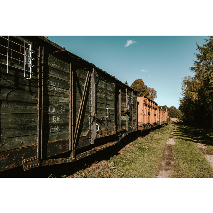 Stare drewniane wagony kolejowe na tle jasnego, niebieskiego nieba i iglastych drzew