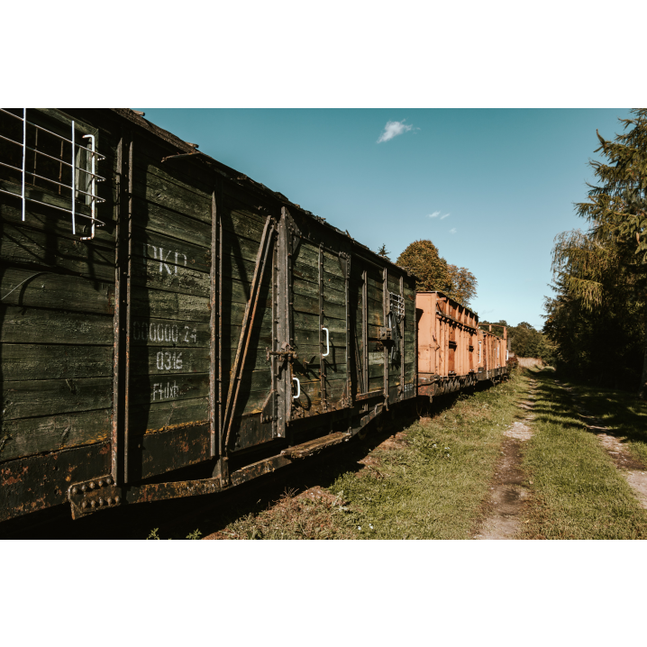 Old wooden railway wagons against a clear blue sky and coniferous trees