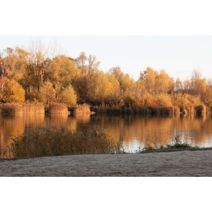 A sandy shore and a surface of water in which the autumn-colored trees growing on the other shore are reflected