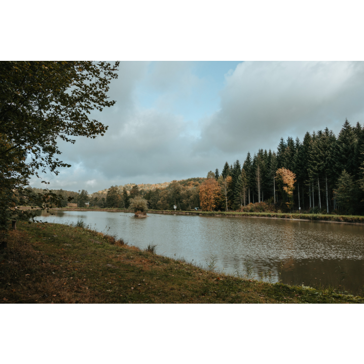 View of the river and wooded shore