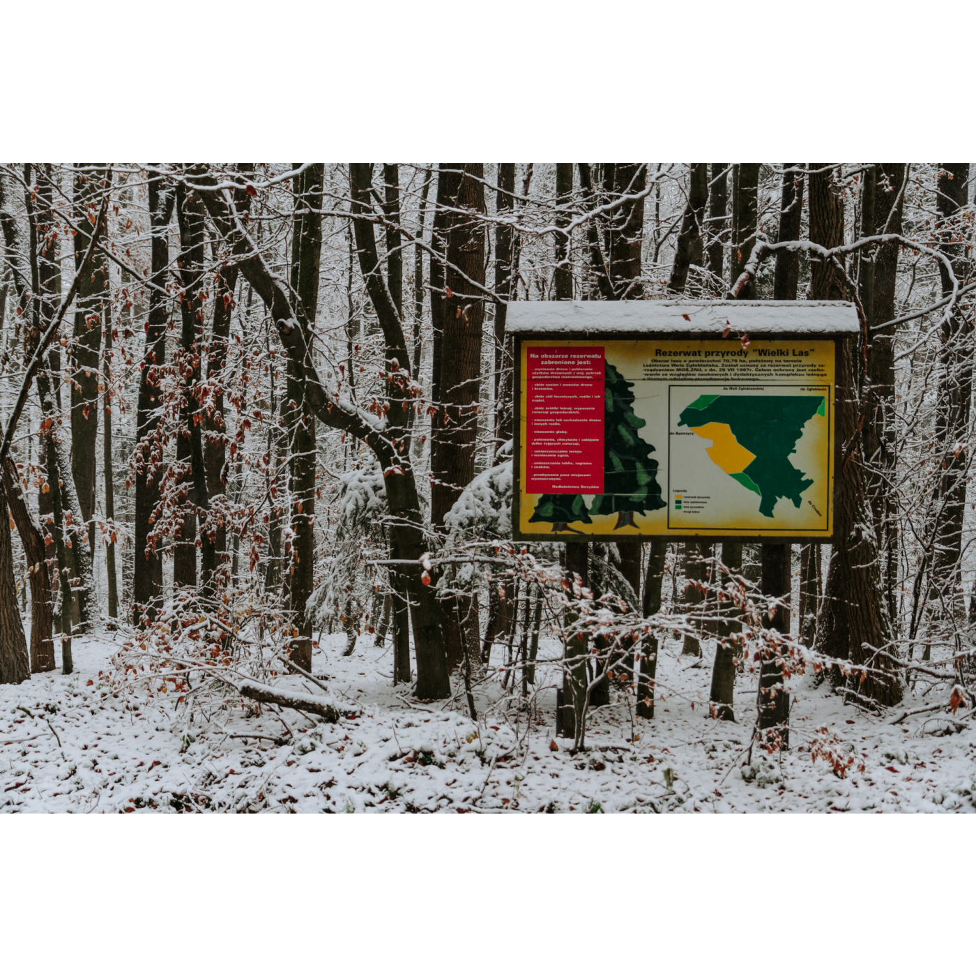 An information board with a map of the reserve among snow-covered trees