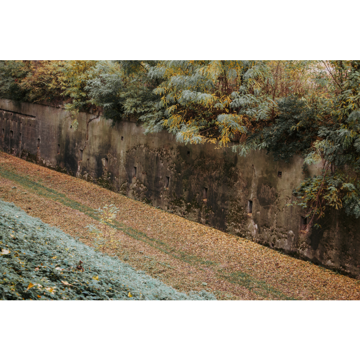 The side wall of a concrete fort covered with moss and vegetation