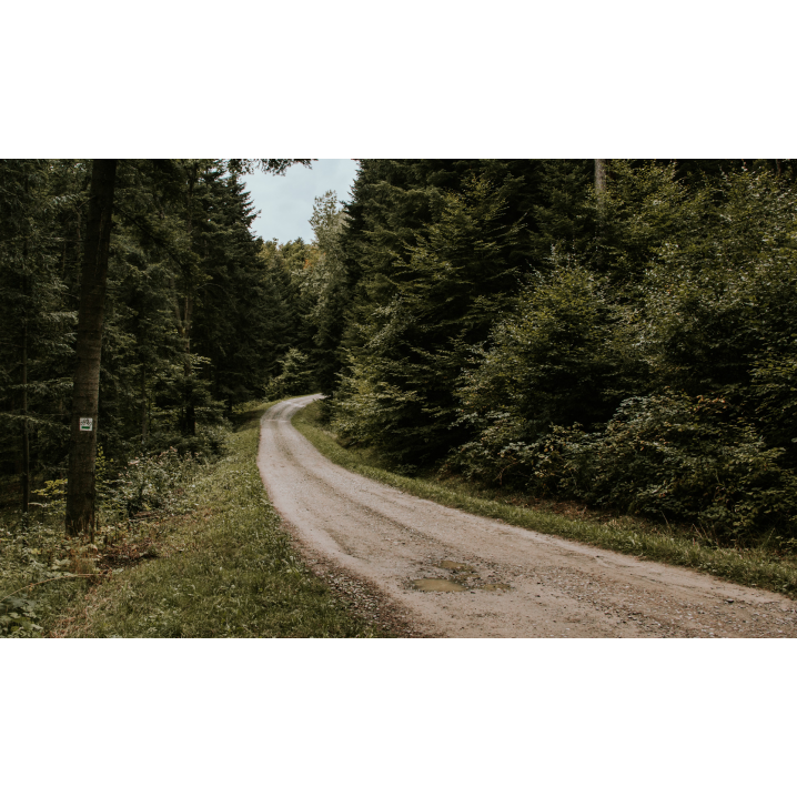 A gravel road between the forest turning right