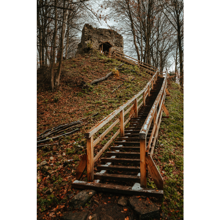 Wooden stairs with a balustrade leading up to the ruins of the castle among the trees