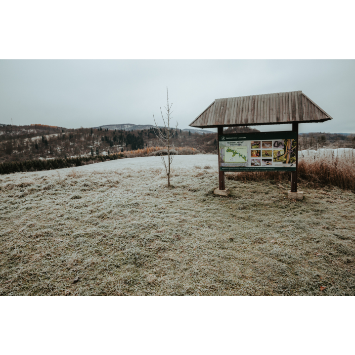 An educational and information board with a wooden roof standing on a lightly snow-covered ground