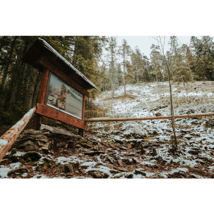 A wooden educational and information board with a roof against the background of the forest