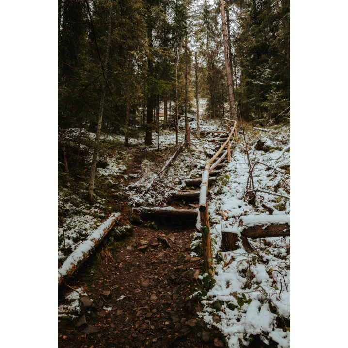 Drewniane, strome schody z balustradą z belek po prawej stronie, prowadzące w górę po zaśnieżonym zboczu wśród drzew iglastych