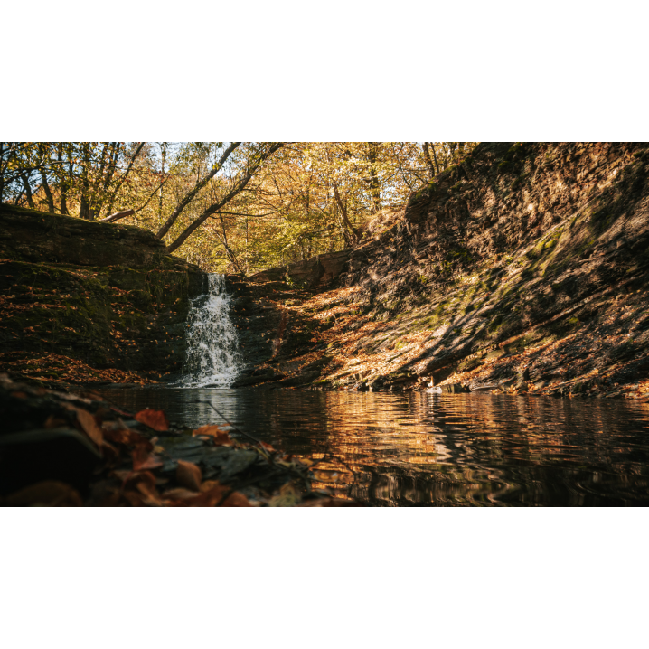 Forest waterfall against the background of autumn trees