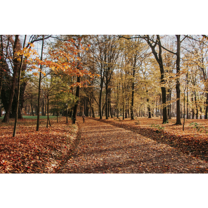 Zespół pałacowo-parkowy w Tyczynie, parkiem w stylu włoskim