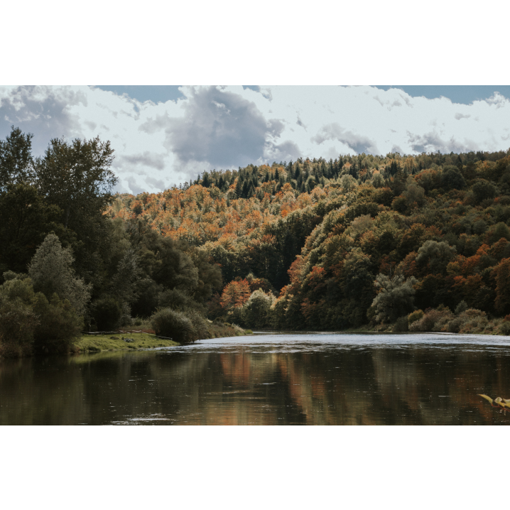 The river's surface against the background of the forest