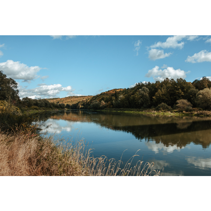 A wide river lit by the sun with a forest bank