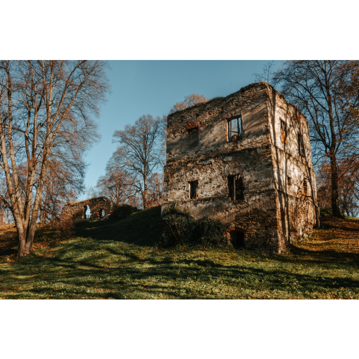 Ruins of a building on a hill among trees