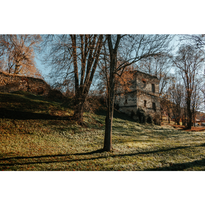 Ruins of a building on a hill among trees