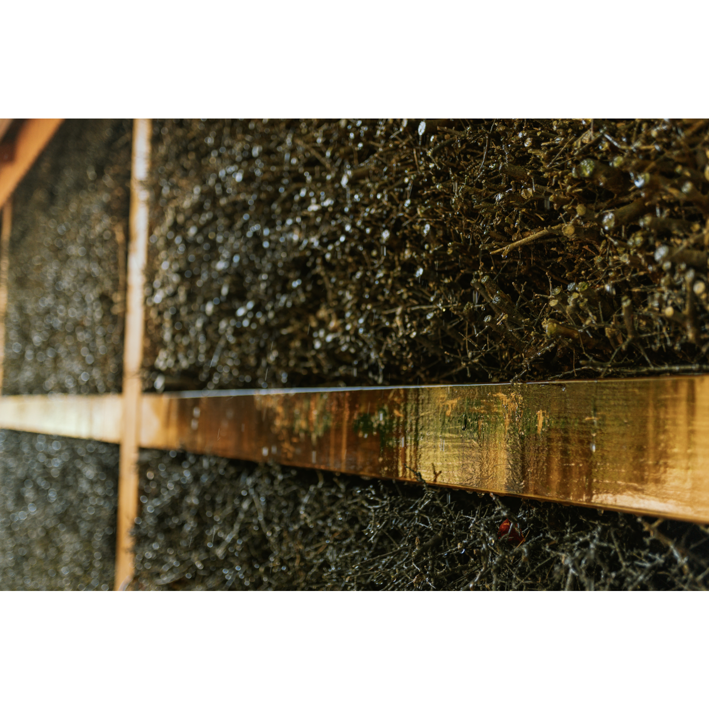 The interior of the graduation tower is made of wood, filled with willow sloe