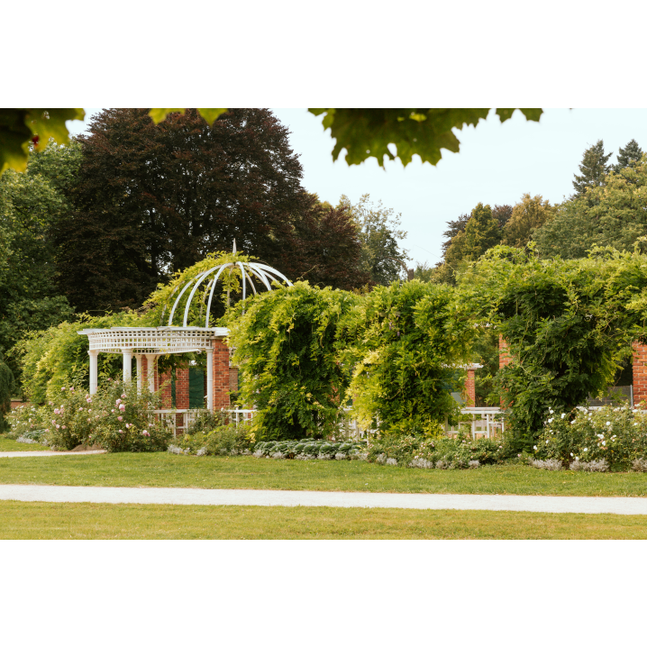 A gazebo full of plants