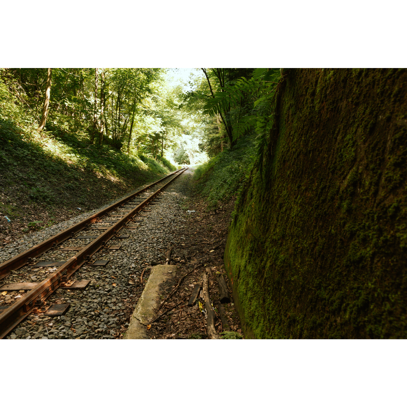 tracks leading to the tunnel