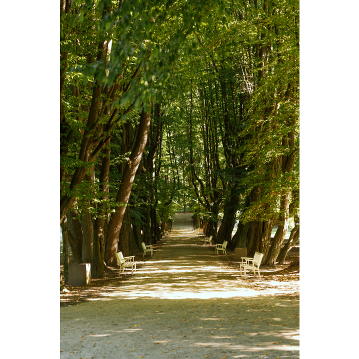 Walking path next to the museum