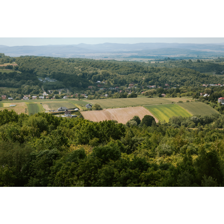 Aerial view of the mound