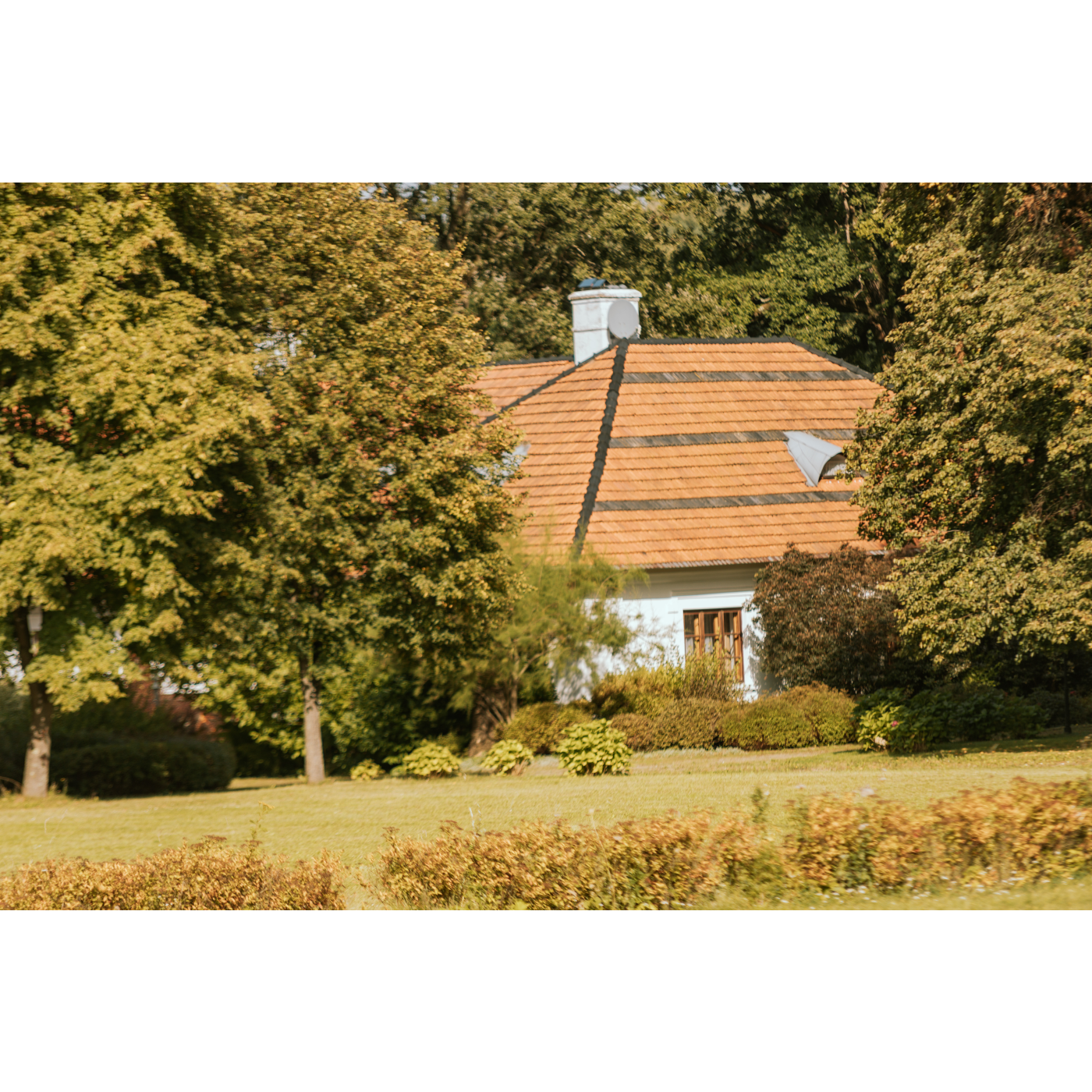 A manor emerging from behind the trees