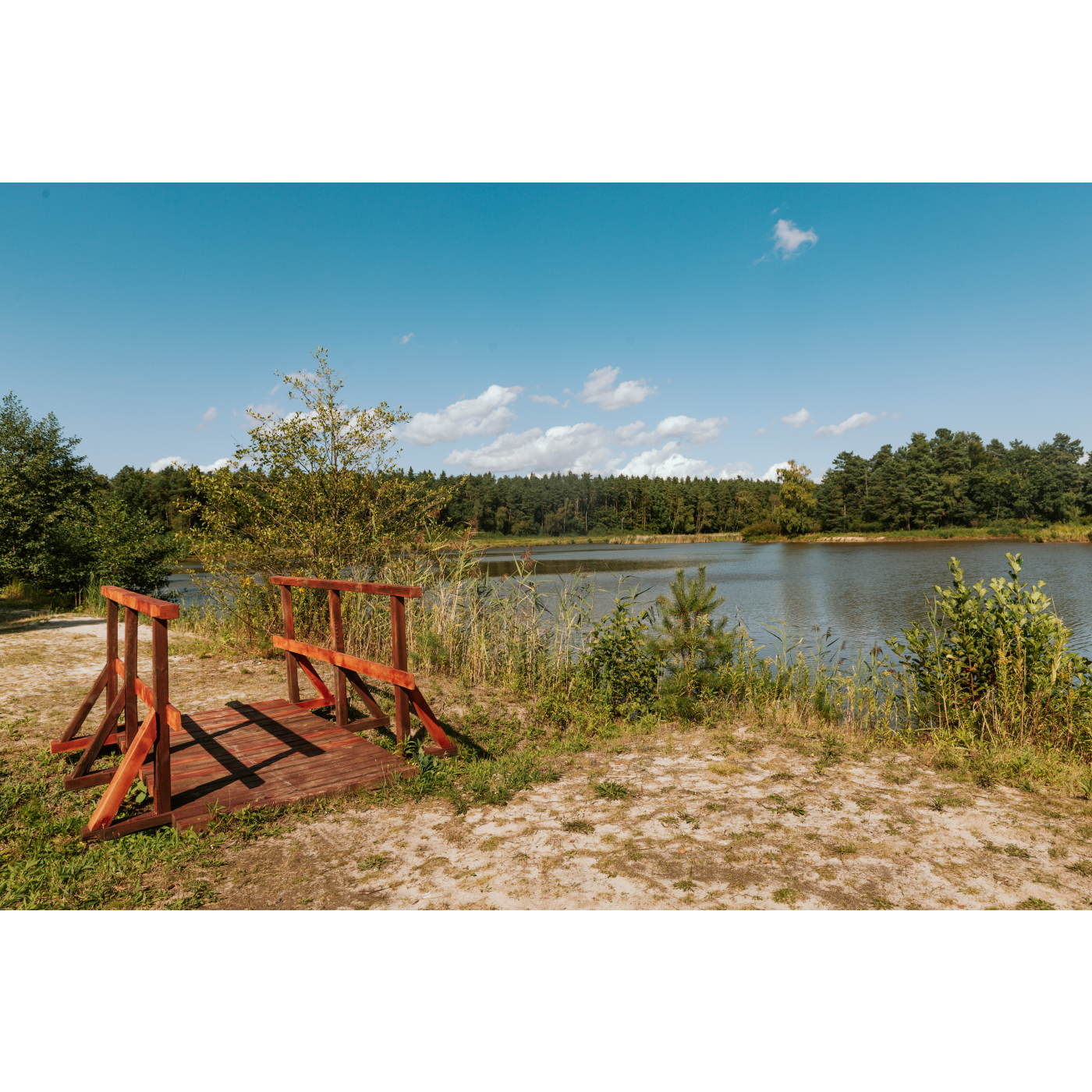 Forest ponds in Czerniawka